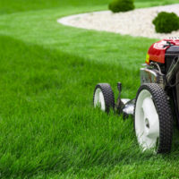 Lawn Envy - Consistent lawn mowing