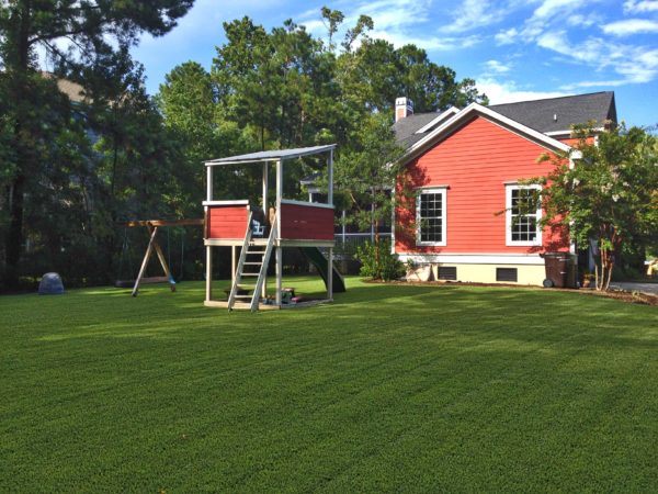 lawn myths and realities